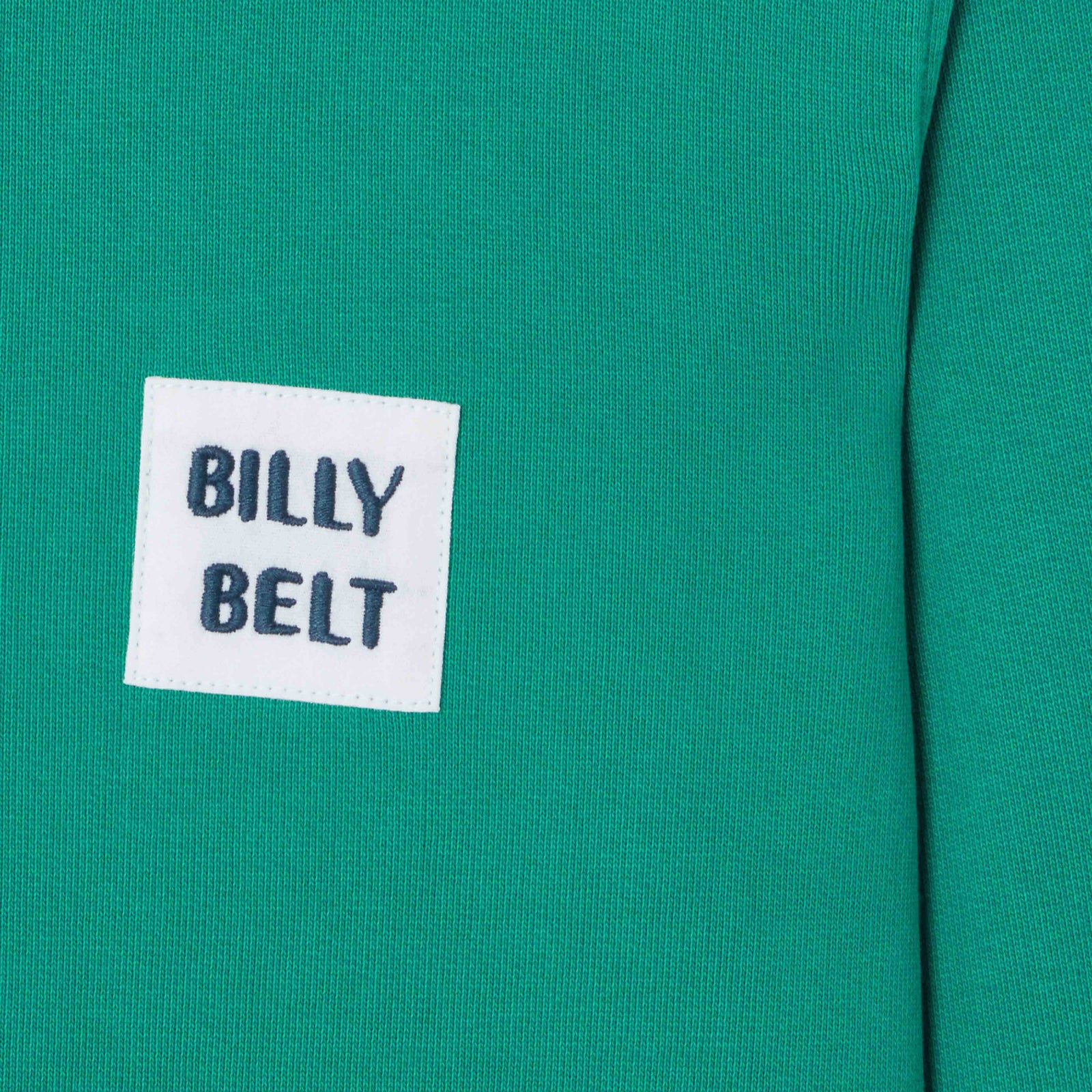 Sweater van 100% biologisch katoen BILLYCLUB - Groen