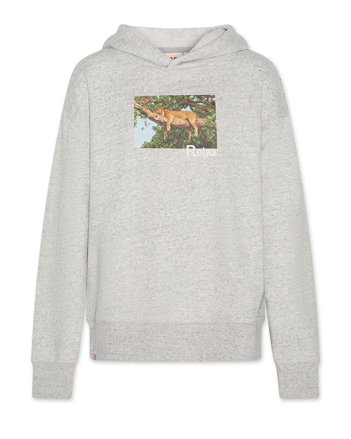 Arthur Hoodie Relax - Heather Grey