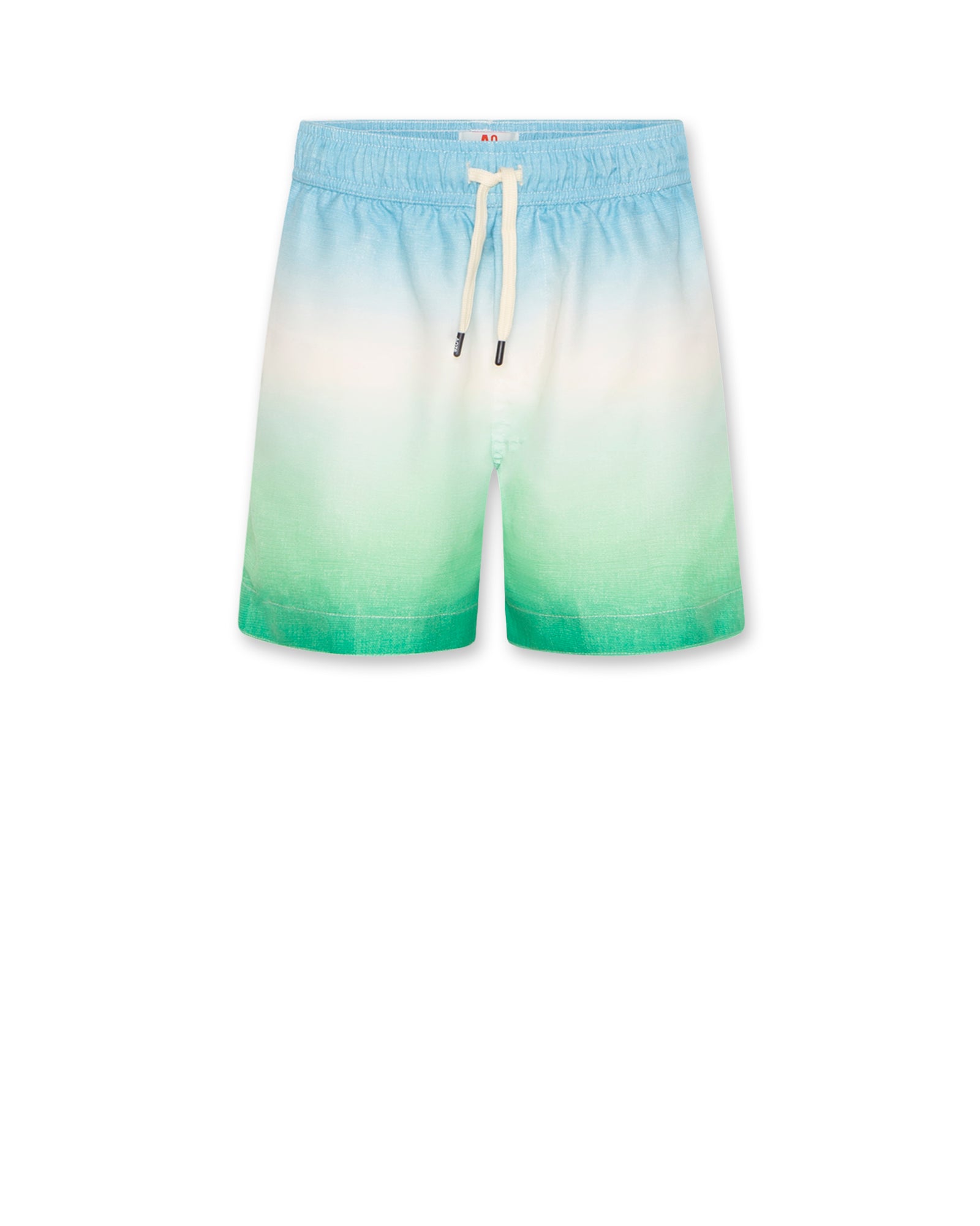 Swimshorts Gradient - Green