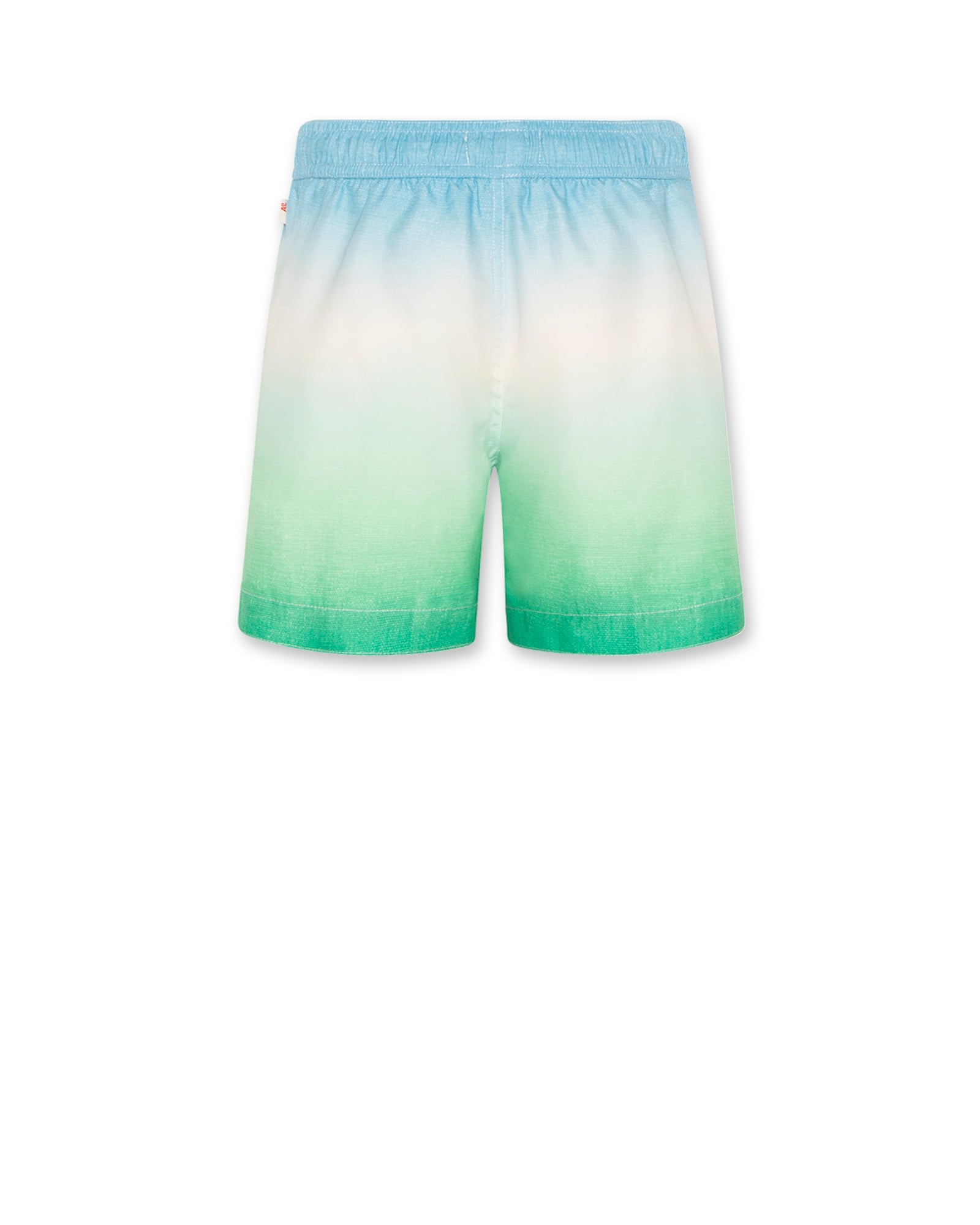 Swimshorts Gradient - Green