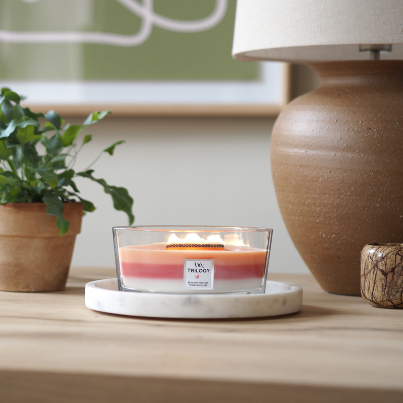 WW Trilogy Blooming Orchard Ellipse Candle