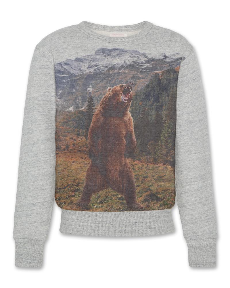 Tom C-Neck Sweater Bear - Oxford