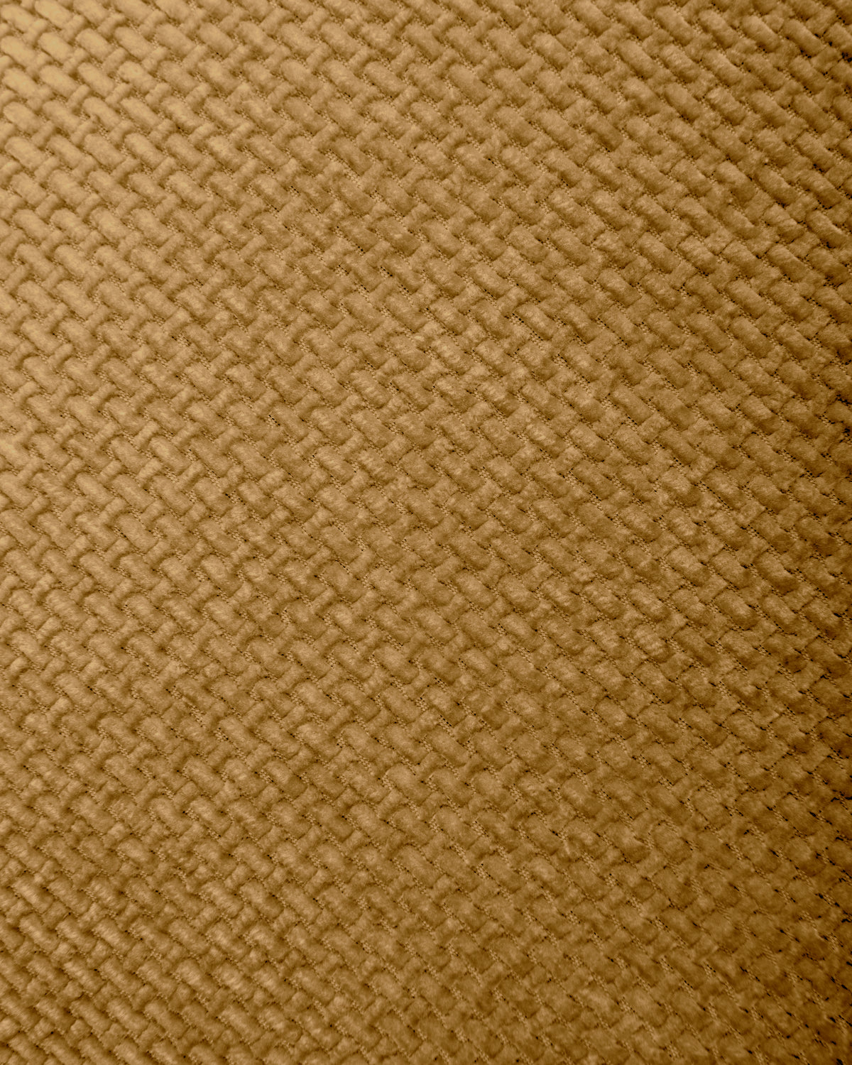 Heckettlane - Coussin Décoratif - Velours Panama - Amber Gold