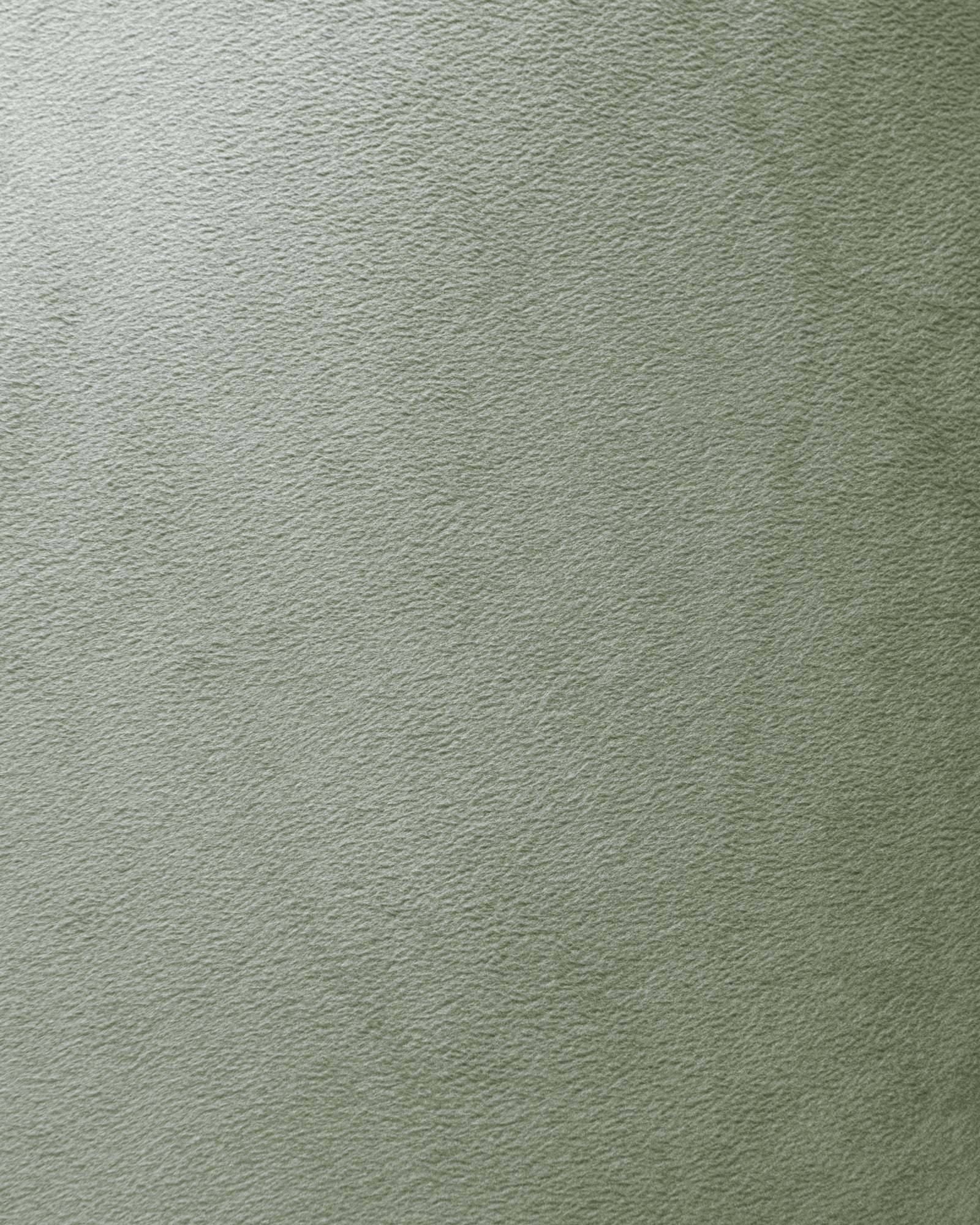 Heckettlane - Coussin Décoratif - Velours Original - Sage Green