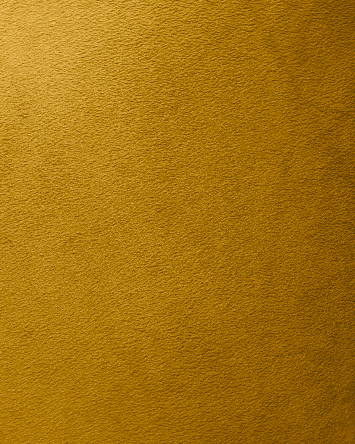 Heckettlane - Coussin Décoratif - Velours Original - Amber Gold
