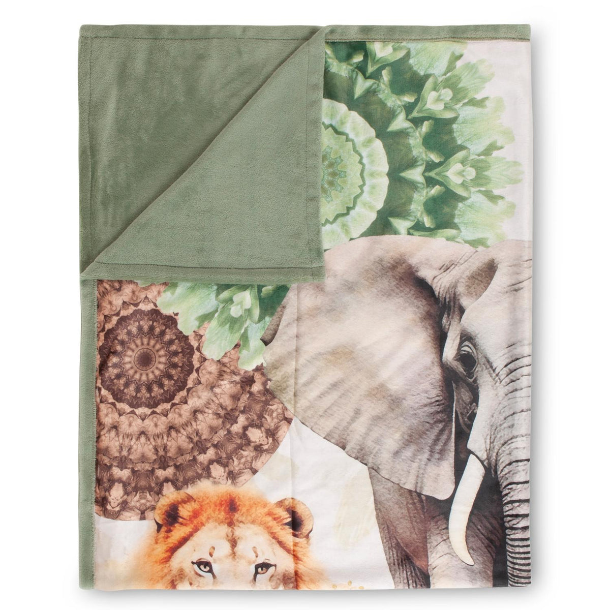 Hip - Plaid - Sagadar - Green