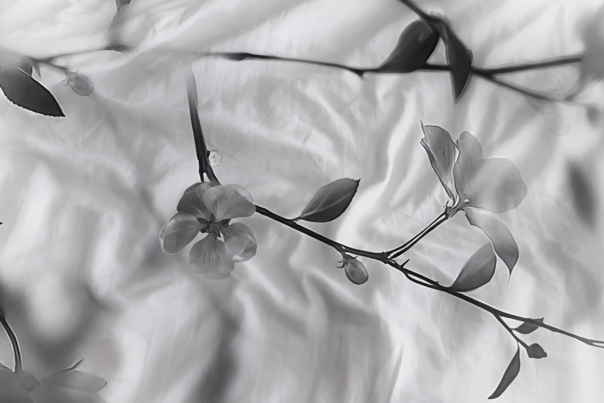 Heckettlane - Housse De Couette - Berta - Dove Grey