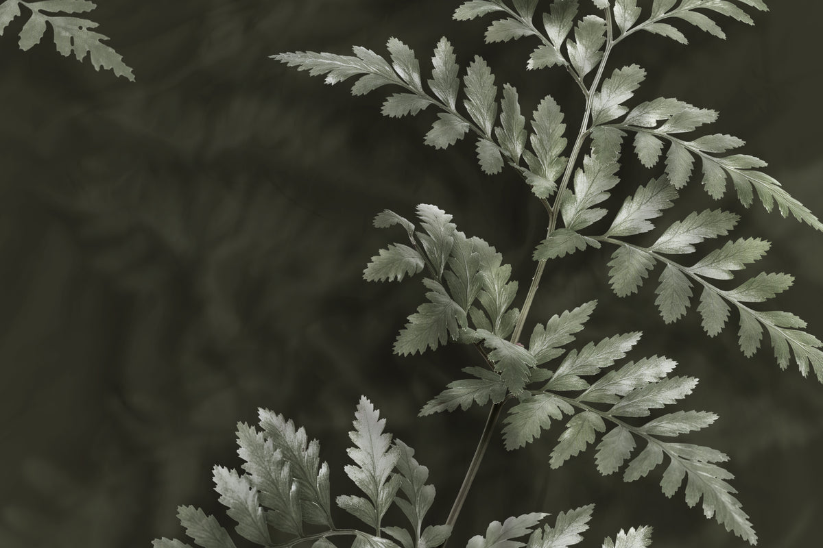 Heckettlane - Dekbedovertrek - Rua - Forest Green