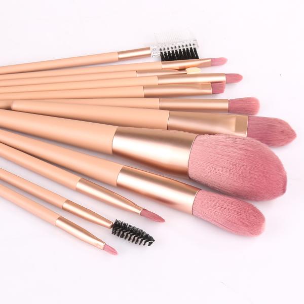 Set Van 12 Make-Up Kwasten - Roze