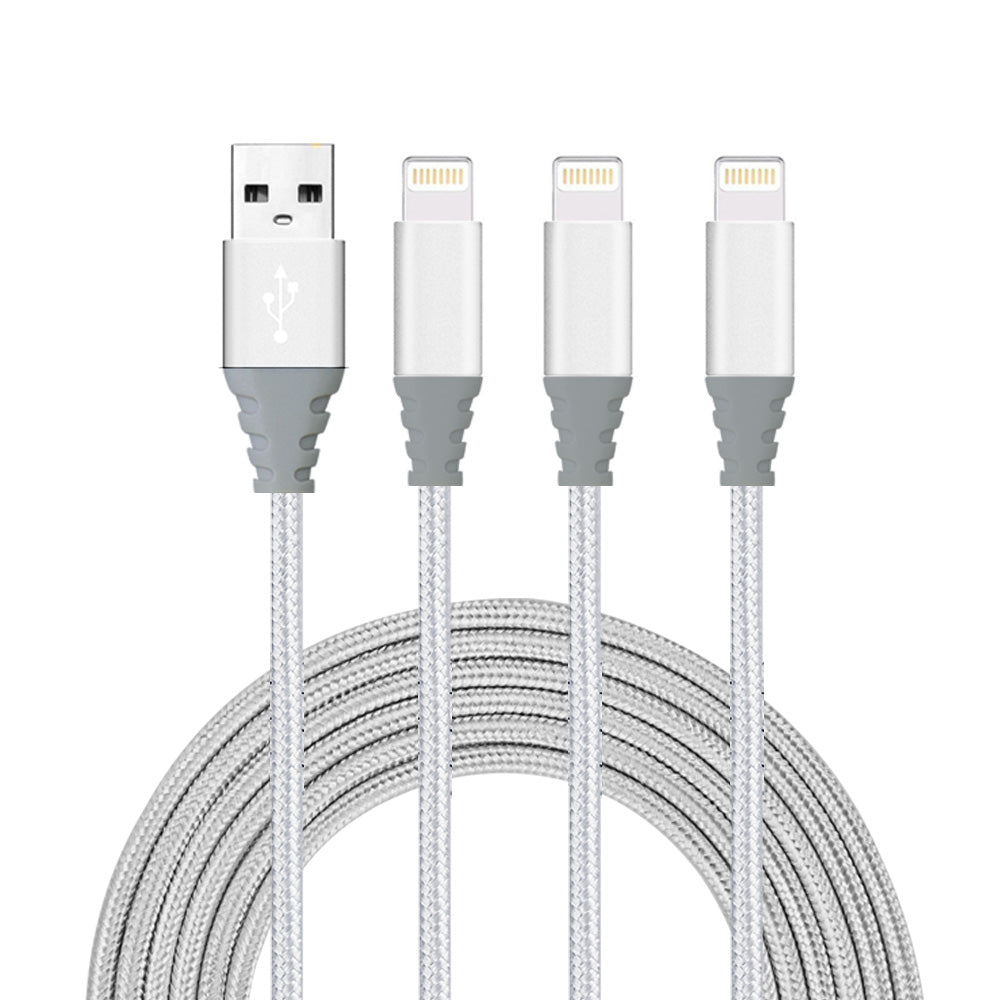 Usb-Kabel Naar 3 Lightning-Poorten - Geld