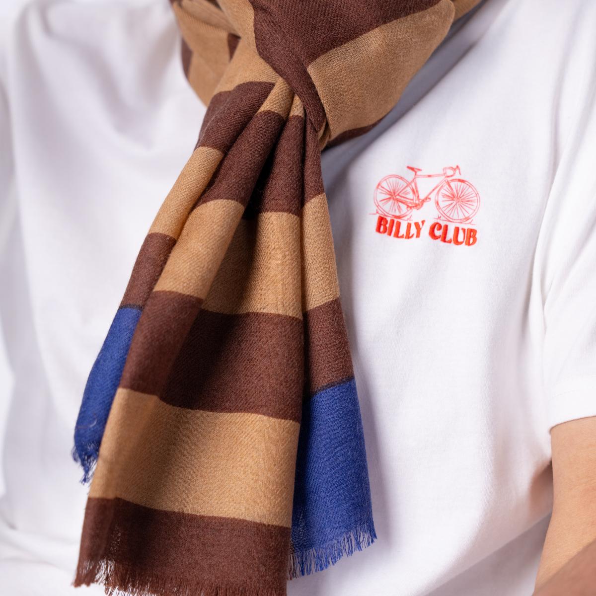 Foulard en laine - Marron et bleu