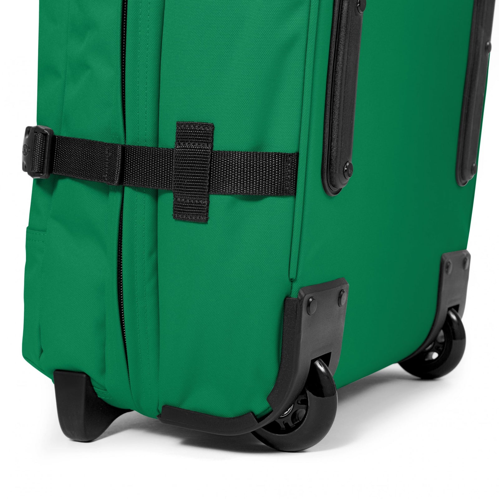 Tranverz M Green Parrot