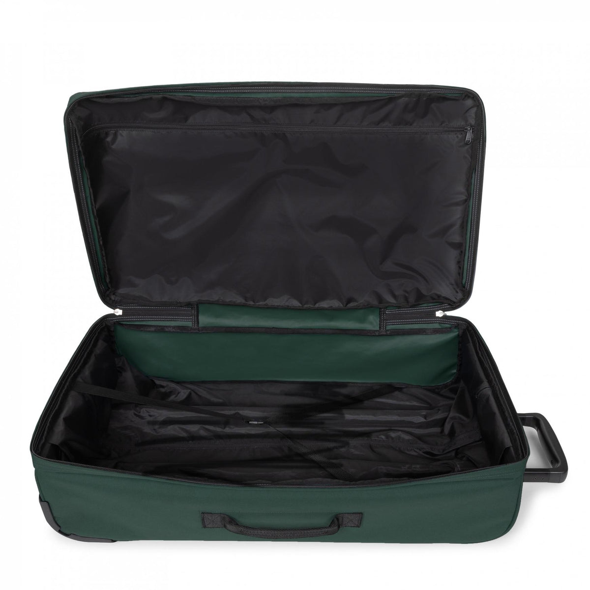 Carryer L Pine Thunderhead