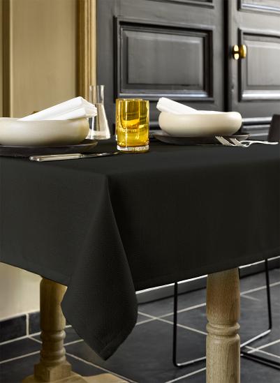 Gibson Collection - Meteorite