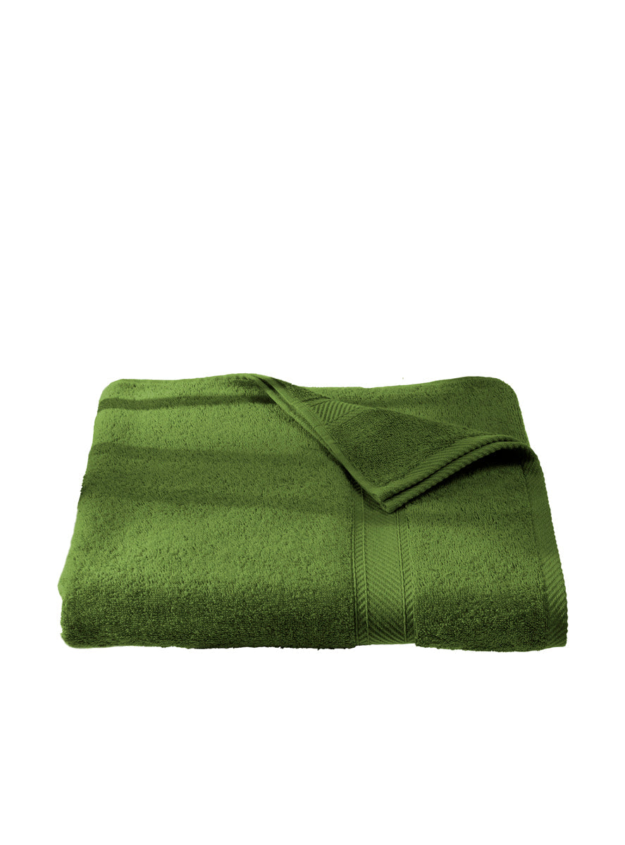 Smart Collection - Helene Cactus