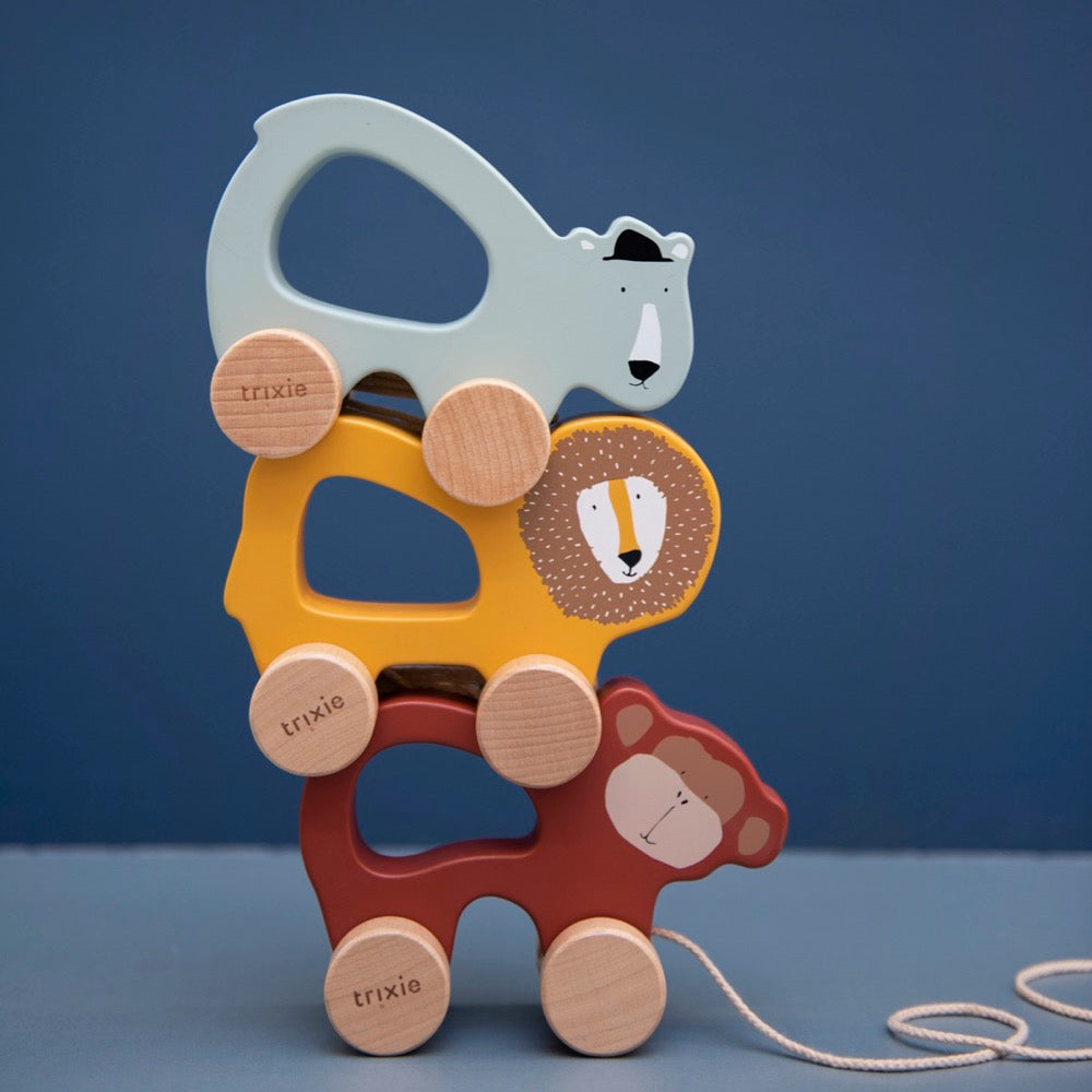 Houten trekspeeltje - Mr. Polar Bear