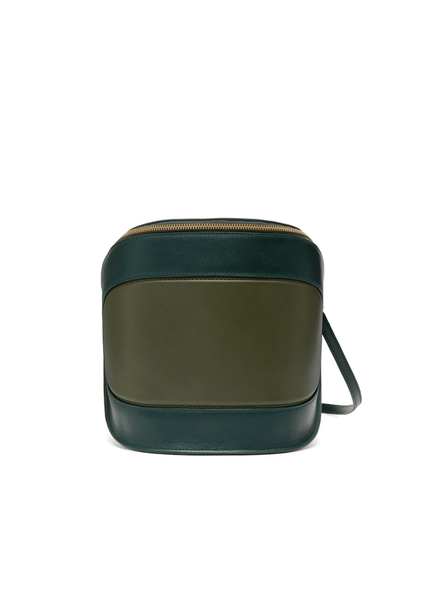 MOSS/ FERN GREEN