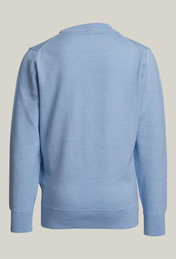Custom Fit Crew Neck Pullover Dolphin Mix - Blauw