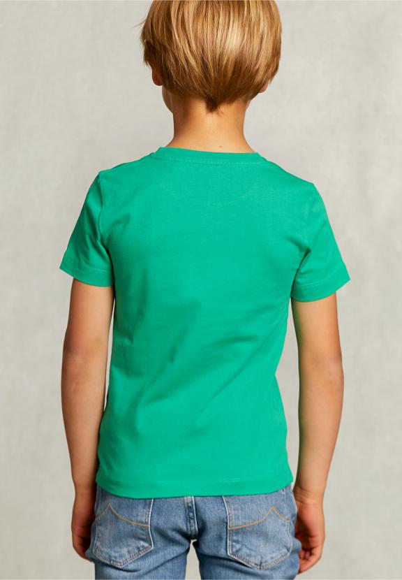 Normal Fit Basic T-Shirt In Papaya - Groen