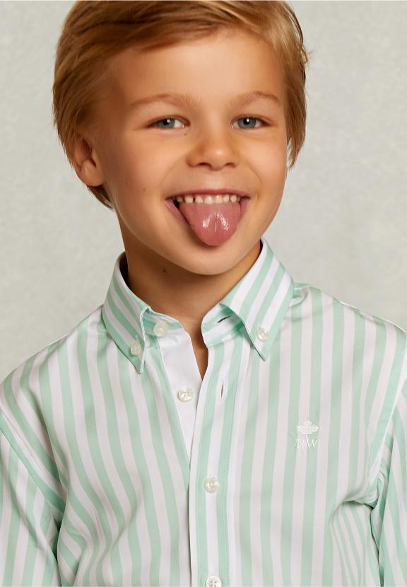 Slim Fit Striped Shirt Green/White - Groen