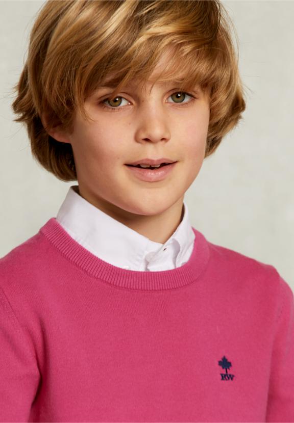 Normal Fit Basic Crew Neck Pullover Amaranth - Roze