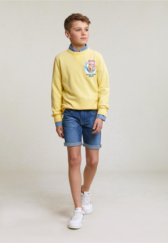 Fantasy Crew Neck Sweater Sun Flower - Geel