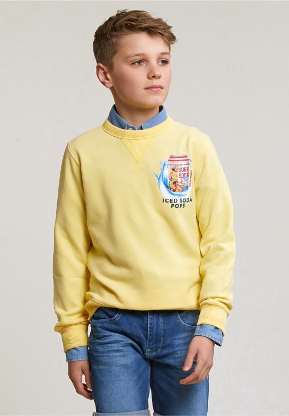 Fantasy Crew Neck Sweater Sun Flower - Geel