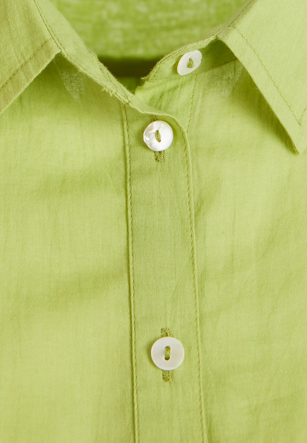 Basic Comfort Fit Shirt In Green - Vert