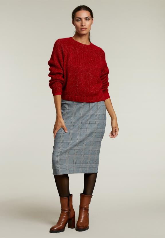 Multi Checked Midi Skirt - Blauw