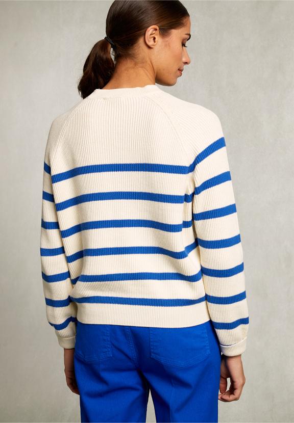Blue/White Cotton Striped Sweater - Bleu