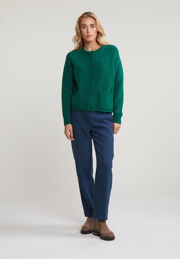 Blue/Green Checked Pants - Bleu