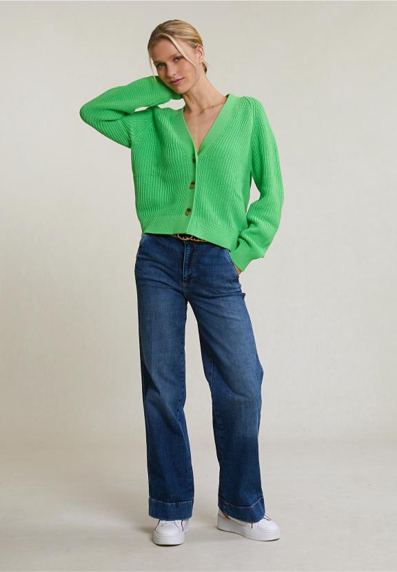 Green Buttoned V-Neck Cardigan Long Sleeves - Groen