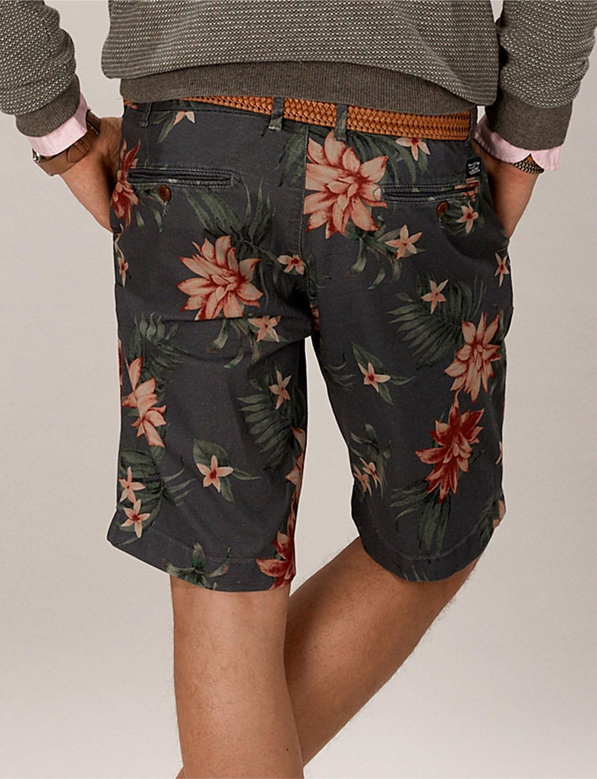 Regular Fit Cotton Shorts In Brown - Brown