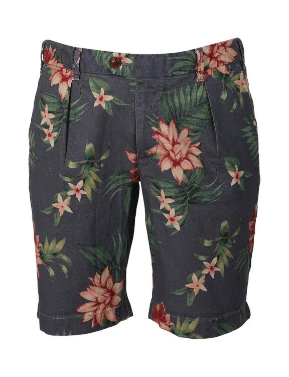 Regular Fit Cotton Shorts In Brown - Bruin