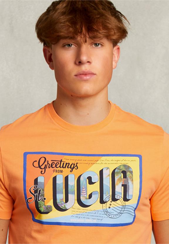 Normal Fit Basic T-Shirt In Sunrise - Orange