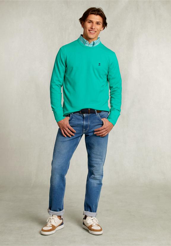 Normal Fit Basic Cotton Crew Neck Pullover Moscow Mule - Groen