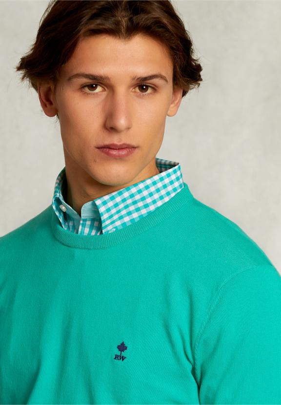 Normal Fit Basic Cotton Crew Neck Pullover Moscow Mule - Groen