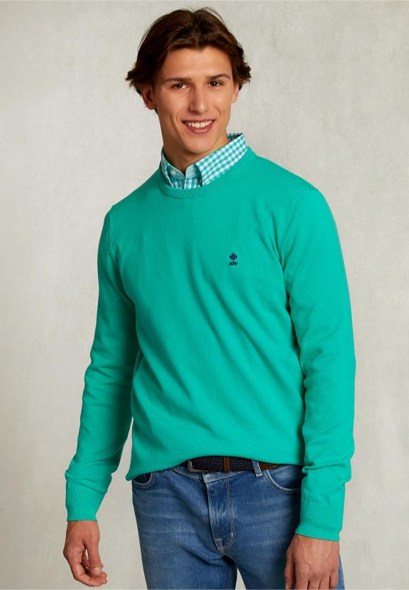 Normal Fit Basic Cotton Crew Neck Pullover Moscow Mule - Groen