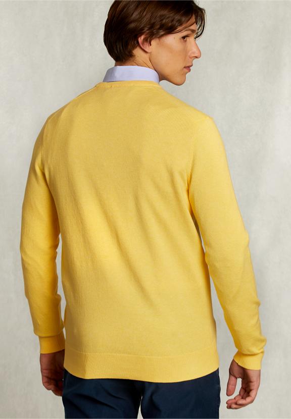 Normal Fit Basic Cotton V-Neck Pullover Butterfly Mix - Jaune