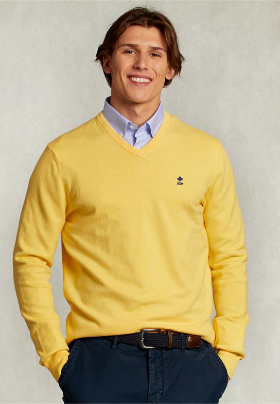 Normal Fit Basic Cotton V-Neck Pullover Butterfly Mix - Jaune
