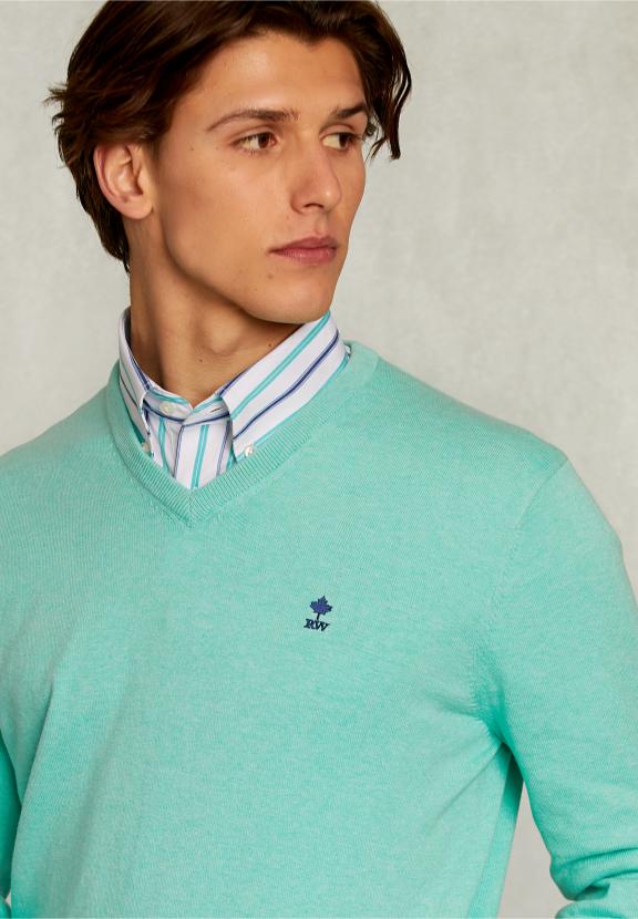 Normal Fit Basic Cotton V-Neck Pullover Gimlet Mix - Groen