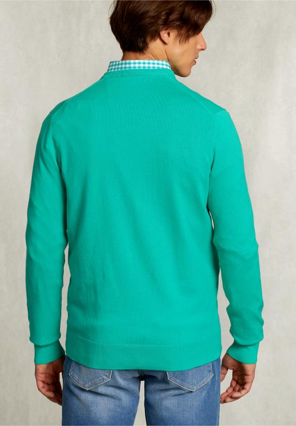Normal Fit Basic Cotton V-Neck Pullover Moscow Mule - Vert