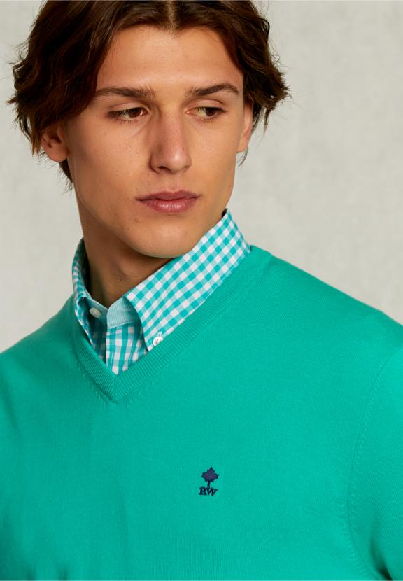 Normal Fit Basic Cotton V-Neck Pullover Moscow Mule - Vert