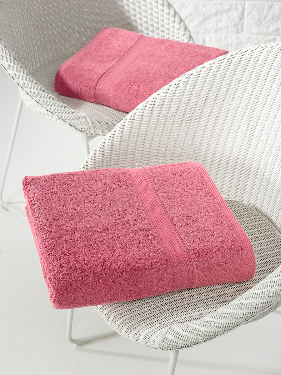 Smart Collection - Stephanie Carmine