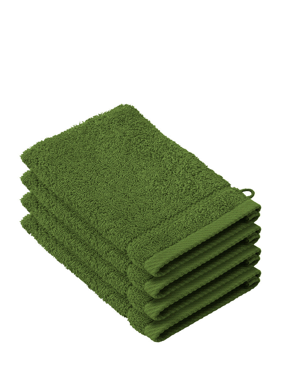 Smart Collection - Stephanie Cactus