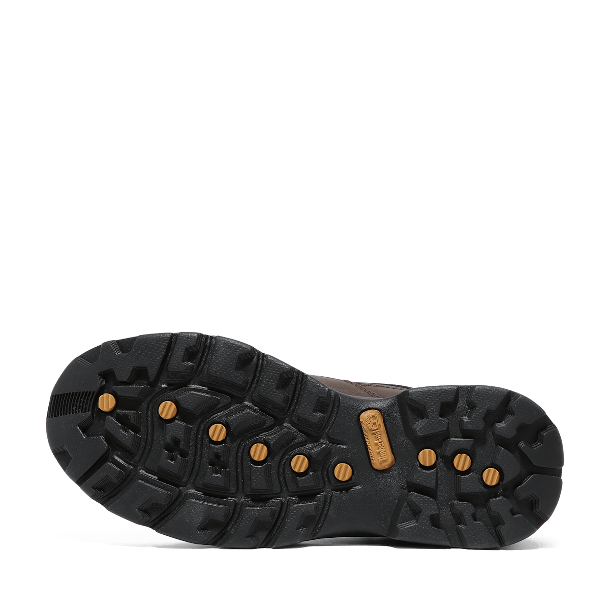 Chocorua Mid Lace Up Gtx Hiking Boot Dark Brown