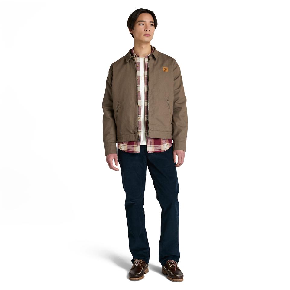 Hollis Insulated Canvas Jacket Chocolate Chip