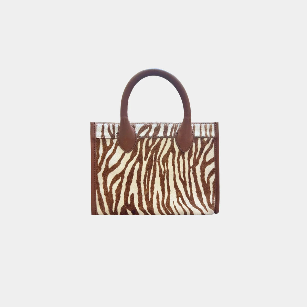 Ana Zebra