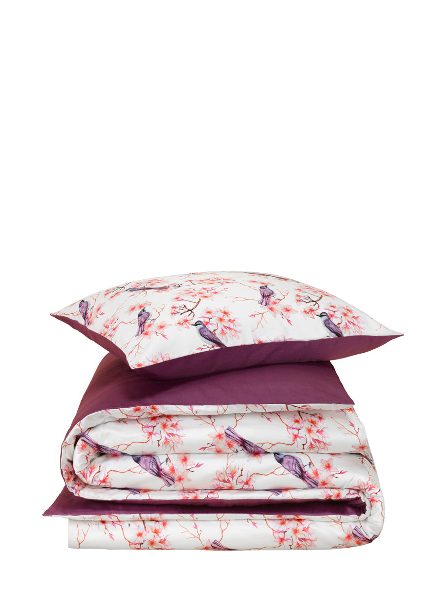 Luxury Collection - Starling Elderberry