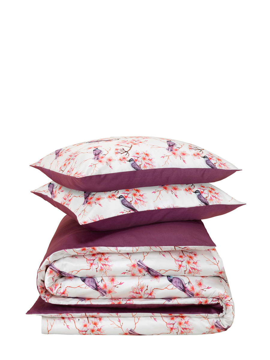 Luxury Collection - Starling Elderberry